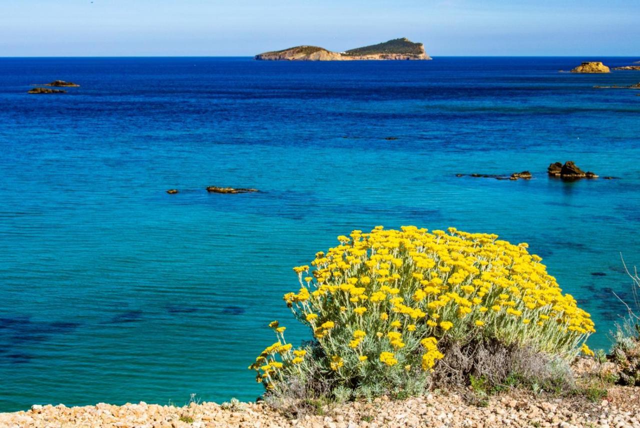 Hostal Y Apartamentos Santa Eulalia Santa Eularia des Riu Dış mekan fotoğraf